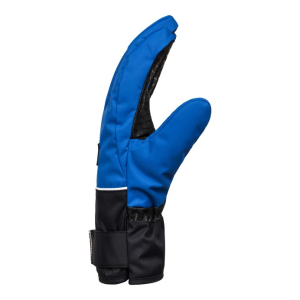 DC Franchise Gloves Blue L