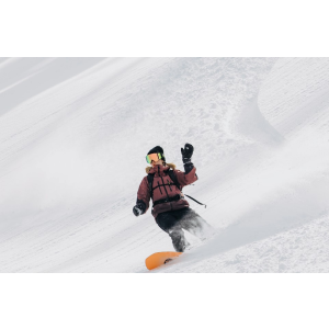 Burton Family Tree 3D Deep Daze Flat Rocker Snowboard 2023