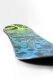 Capita Kids Scott Stevens Mini Snowboard 2026